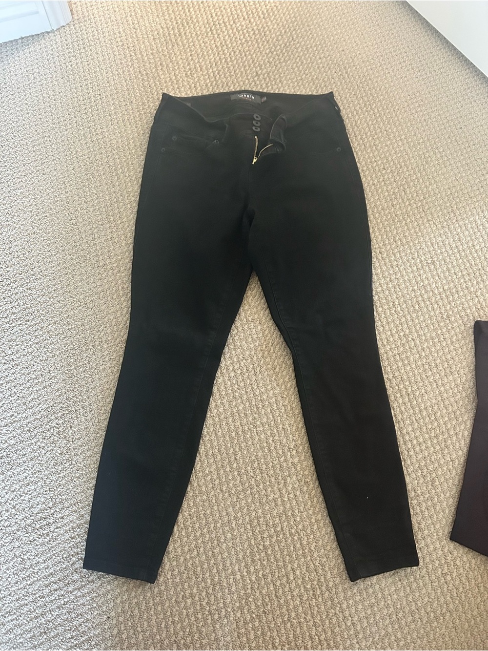 torrid Black Skinny Stretch Jeans